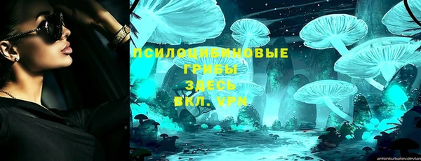 ПСИЛОЦИБИНОВЫЕ ГРИБЫ Алексин